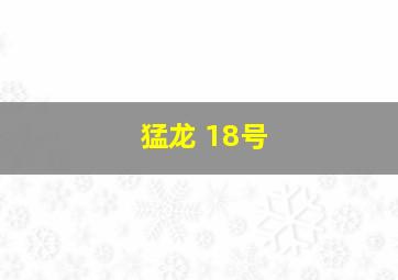 猛龙 18号